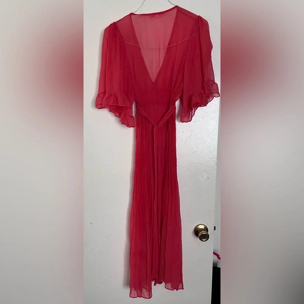 Betsey Johnson Sheer Dress - Picture 2 of 3